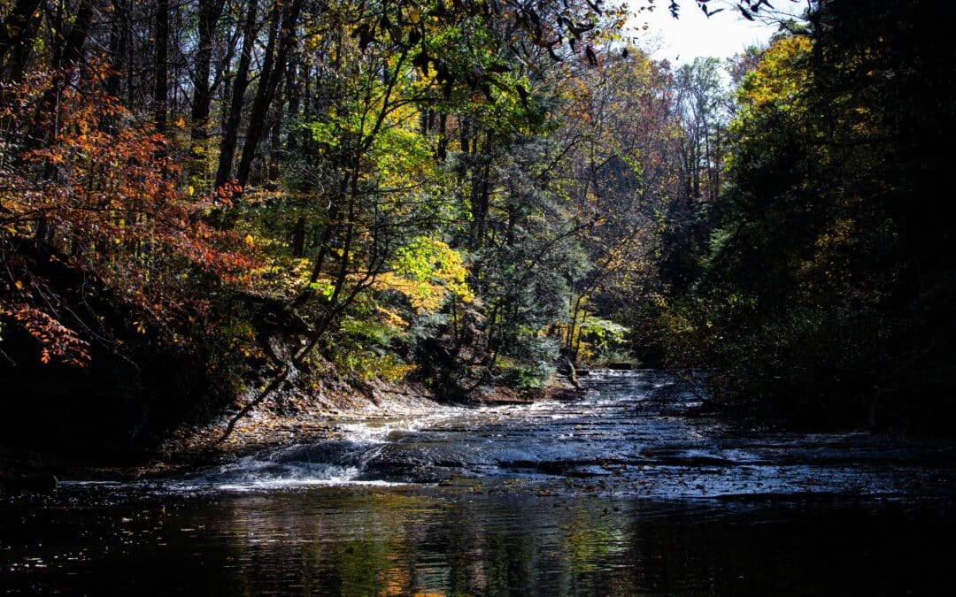 Top 10 Best Cuyahoga Valley National Park Trails